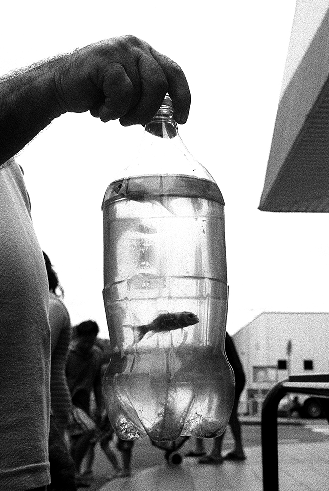 Fish In A Bottle, Brisbane 2000