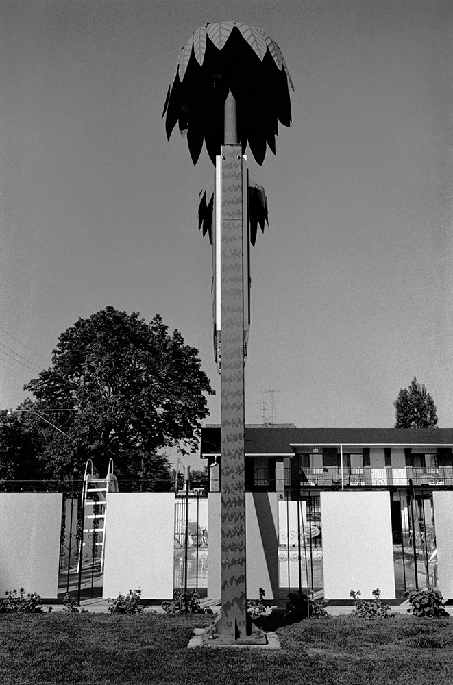 Metal Palm, Niagara Falls 1977